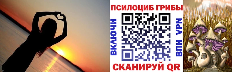 кракен как зайти  Уссурийск  Галлюциногенные грибы ЛСД 