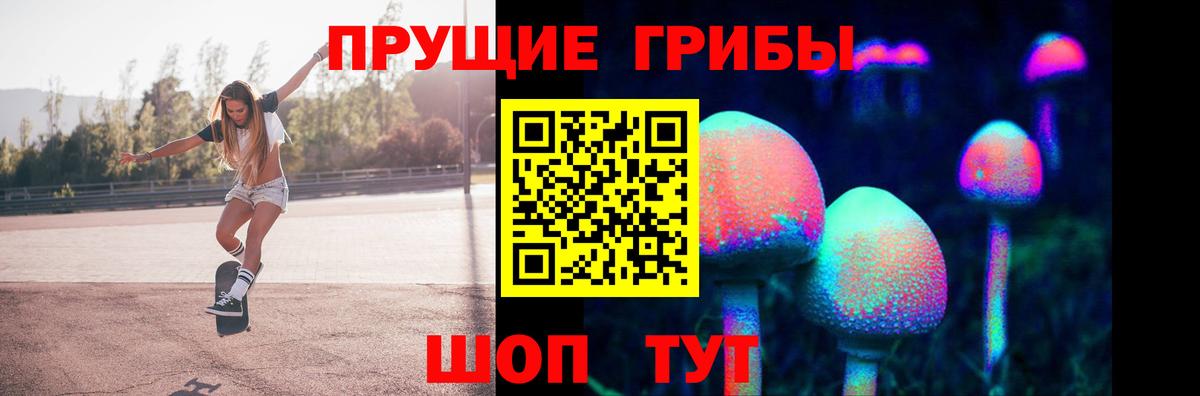 Галлюциногенные грибы Psilocybine cubensis Уссурийск